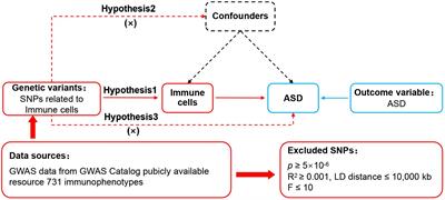 Causal effects of 731 immune cell phenotypes on autism spectrum disorder: a Mendelian randomization study